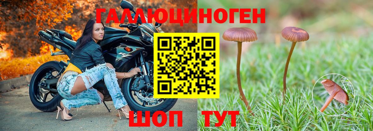 Кандалакша  Галлюциногенные грибы Psilocybine cubensis  Вход с VPN  Галлюциногенные грибы прущие грибы 