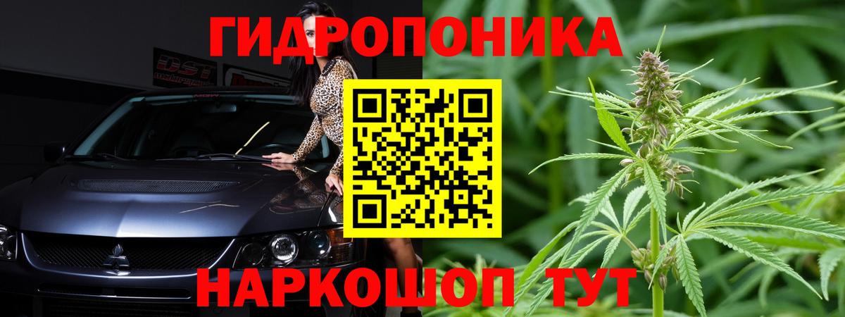 Каннабис White Widow Кандалакша